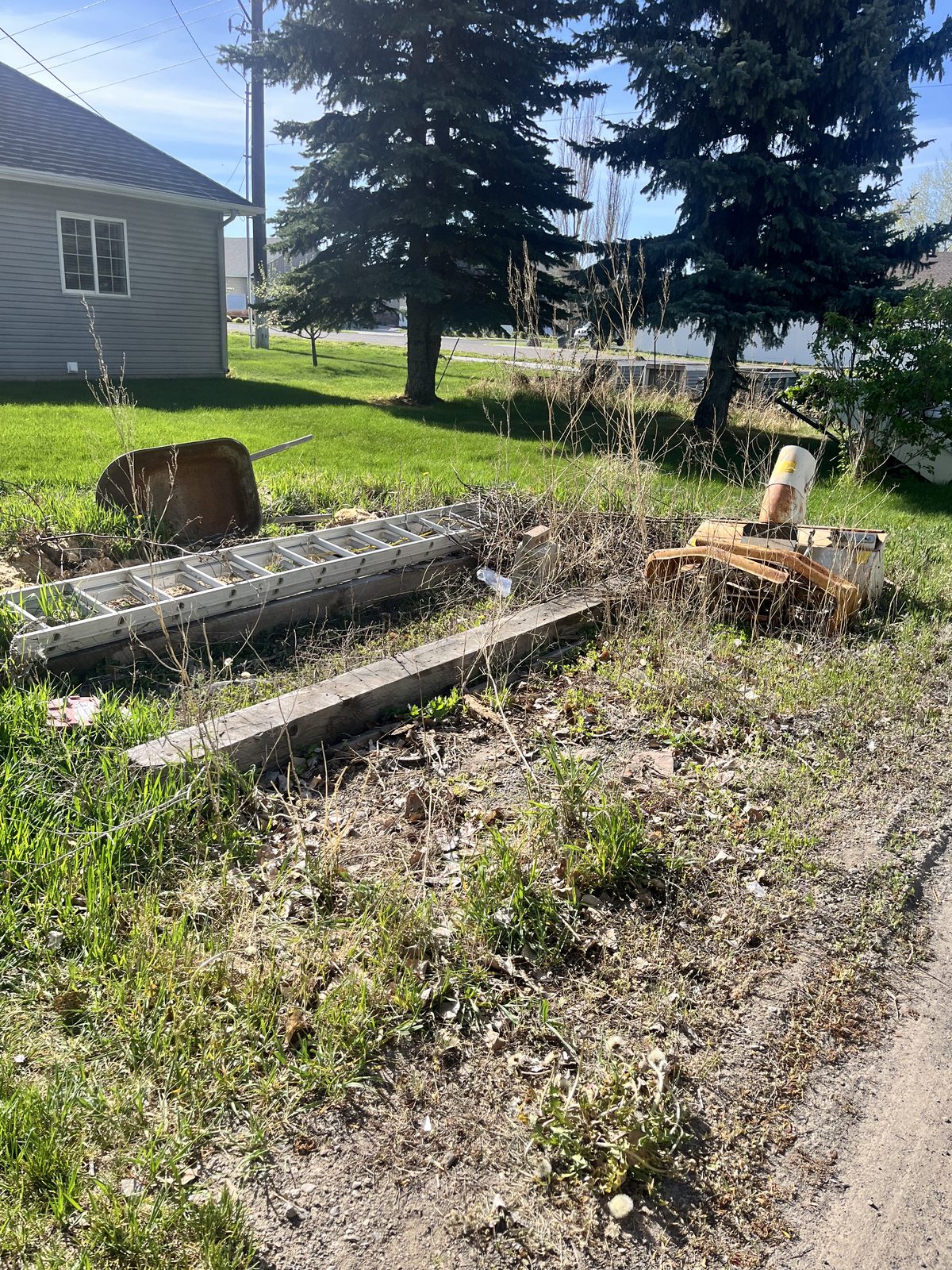 Yard debris cleanup before
